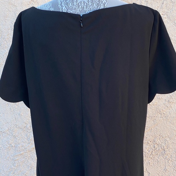 NWT. KASPER Dress size 16 - Picture 4 of 5